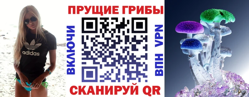 Псилоцибиновые грибы GOLDEN TEACHER  цена наркотик  Фатеж 